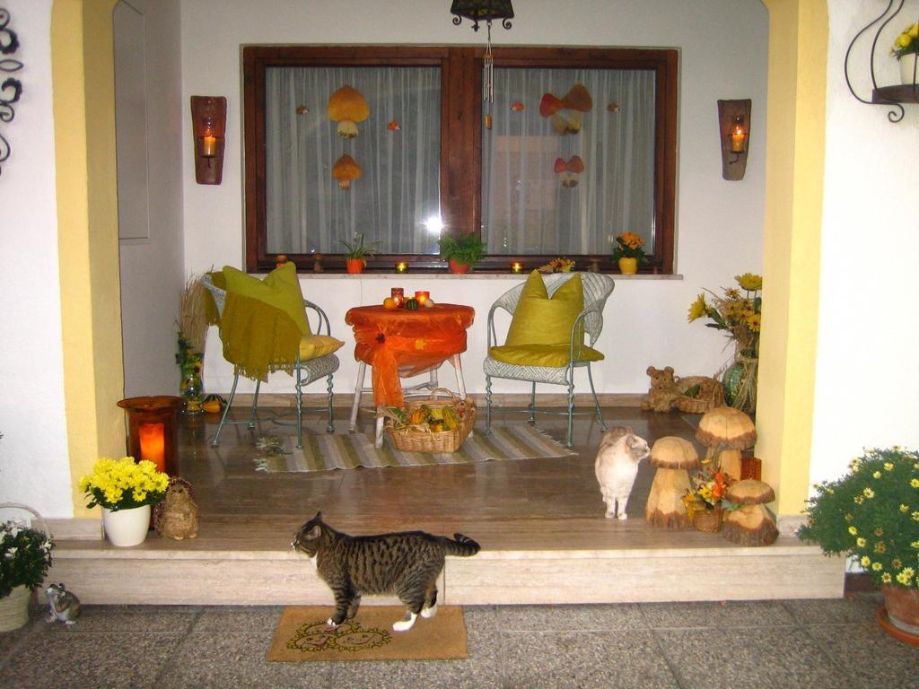 Haus Rosswiese Daire Strobl Dış mekan fotoğraf